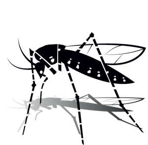 logo-zanzaratigre.png